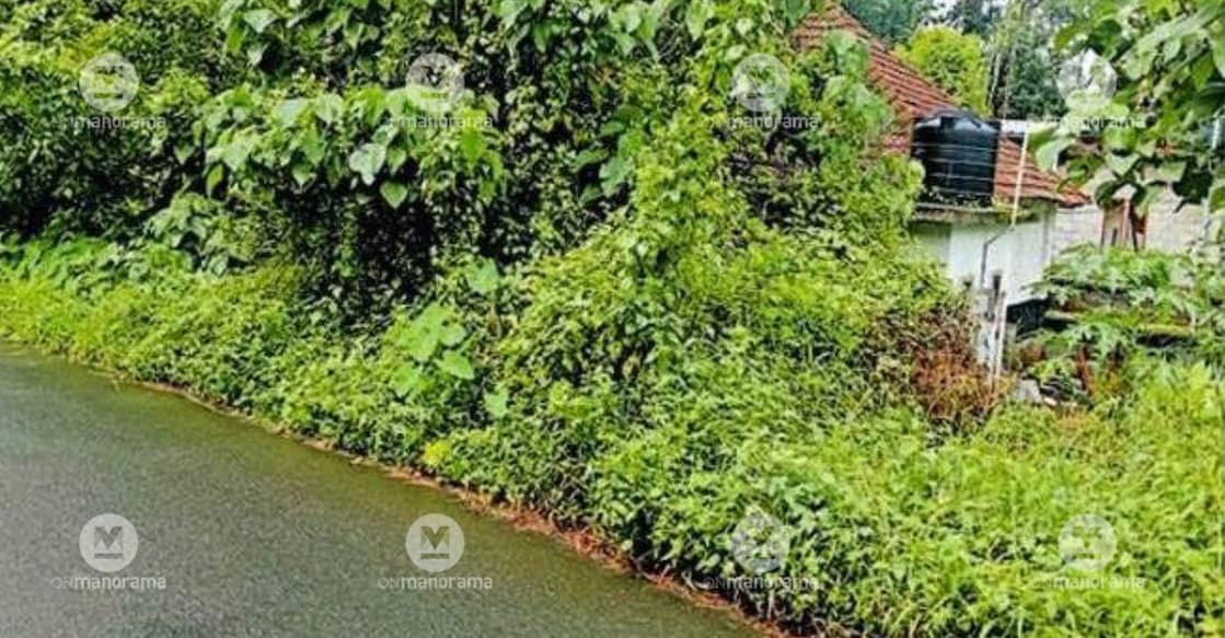 The Government LPS Aithala building covered in wild thickets. Photo: Special arrangement.