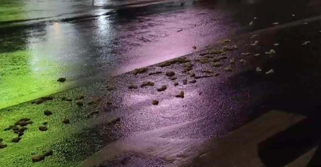 Visuals of the condoms that were found at MC Road in Chengannur. Photo: Screengrab/ Manorama News