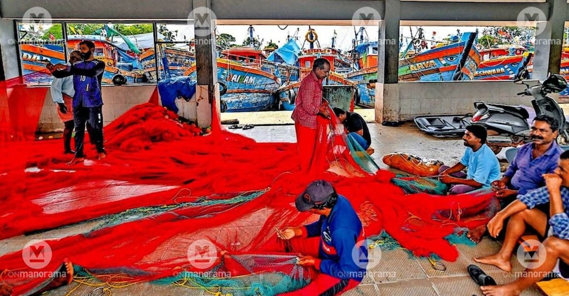 Fishermen preparing nets at Azheekkal fishing harbour. Photo: Special arrangement