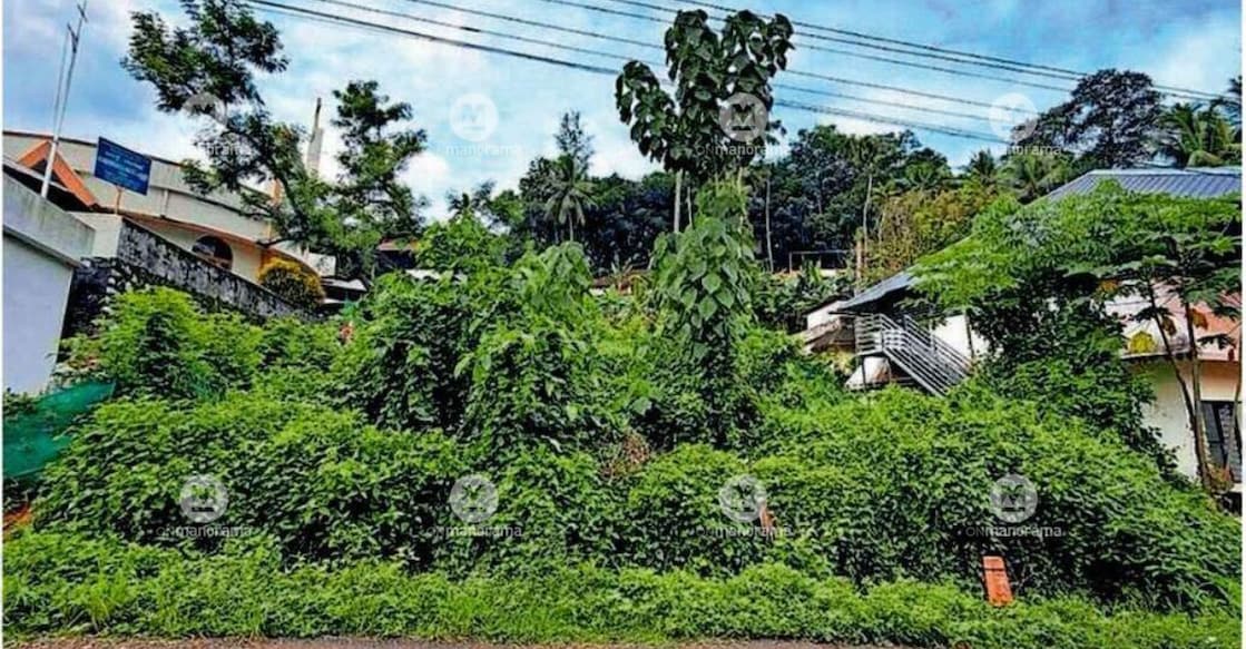 A plot owned by the local self-government department at KPSM Junction in Vithura, which remains unused and overgrown with weeds. Photo: Special Arrangement.