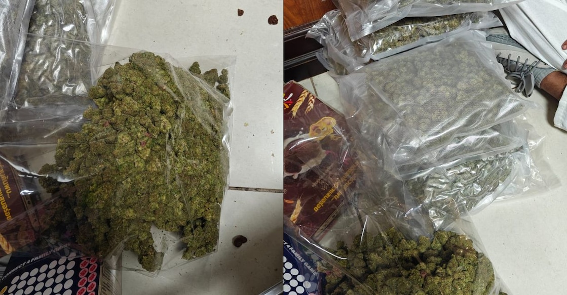 hydrid-ganja-cial - 1