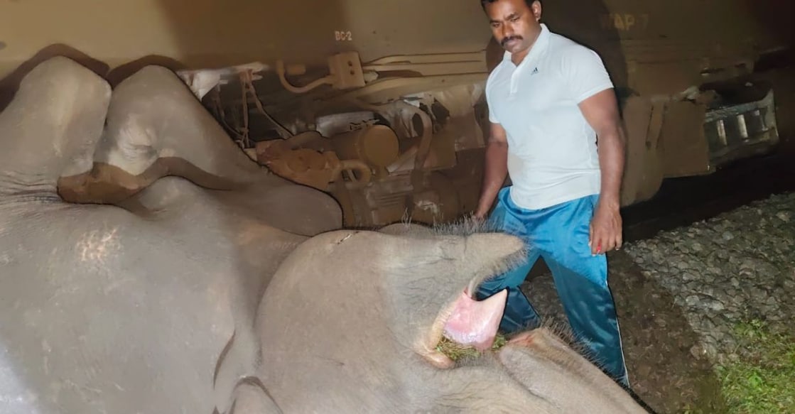 elephant-killed-train - 1