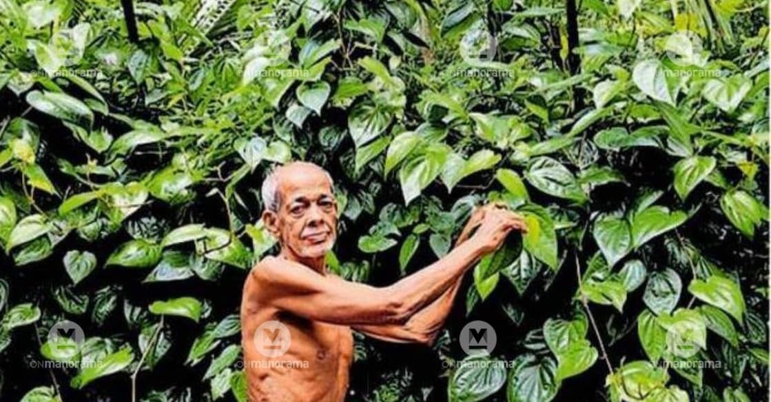 Ambalavan Puthanpeediyekkal Hamza at his farm. Photo: Special Arrangement.
