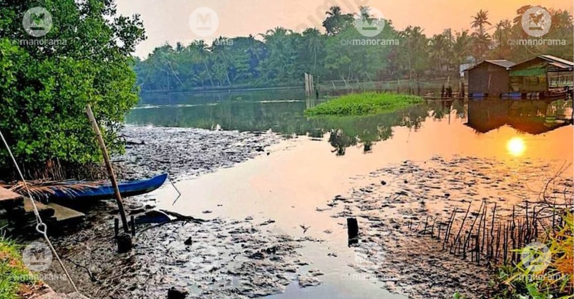 Heavy silt deposits are visible in the Periyar near Varapuzha, one of the worst-affected stretches where the river has lost much of its natural depth and carrying capacity. 