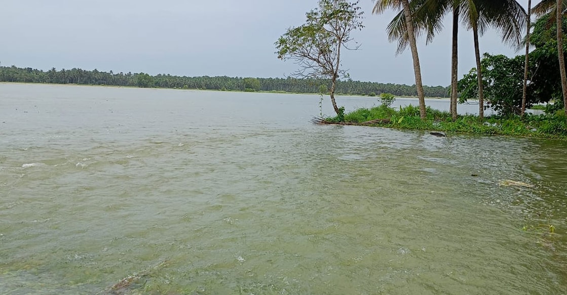 The road to Vaka Kakkathuruthu in Elavally panchayat submerged. Photo: Special Arrangement