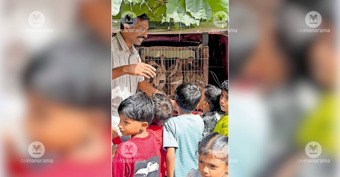 Raju Varghese, headmaster of MHM LP School with the Kuttanad ducks to be distributed among the children. Photo: Special arrangement.