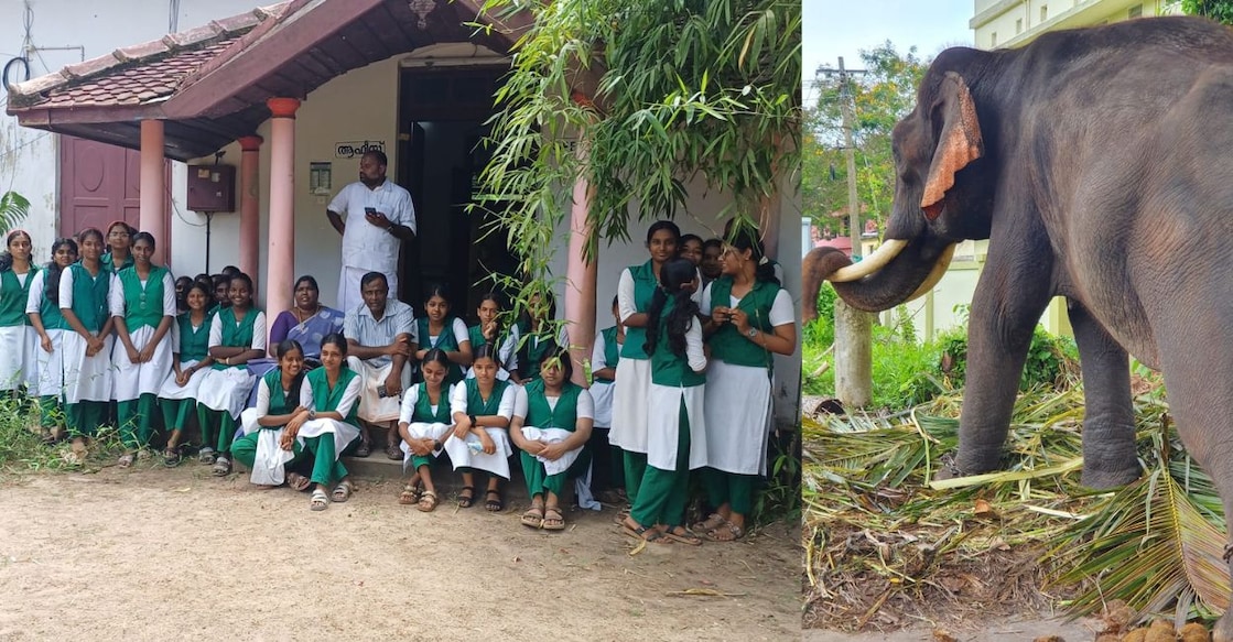 The Class 10 students of Haripad Government Higher Secondary School during the protest at the office of the Travancore Devaswom Deputy Commissioner, the elephant at the Sree Subrahmanya Swami Temple. Photo: Special arrangement