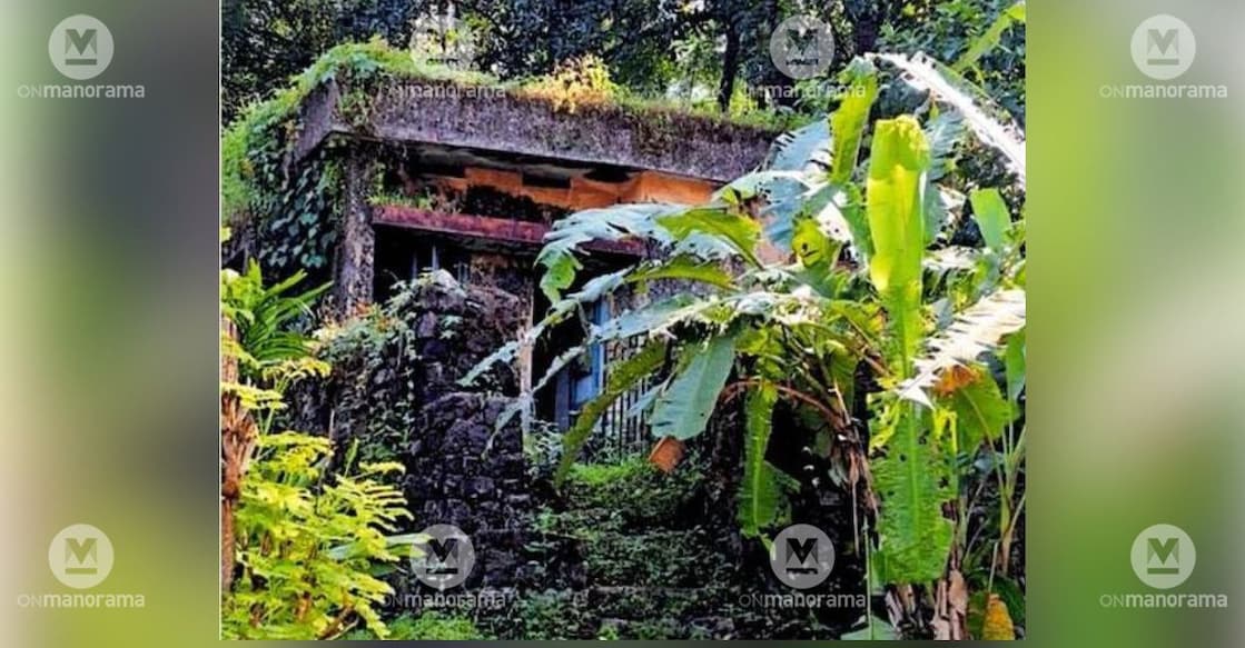 The Krishibhavan building in Koombara, overrun by wild growth and decaying. Photo: Special Arrangement.