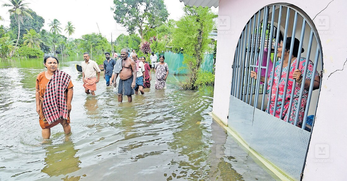 Flood hit roads in Niranom Panchayat. Photo: Manorama