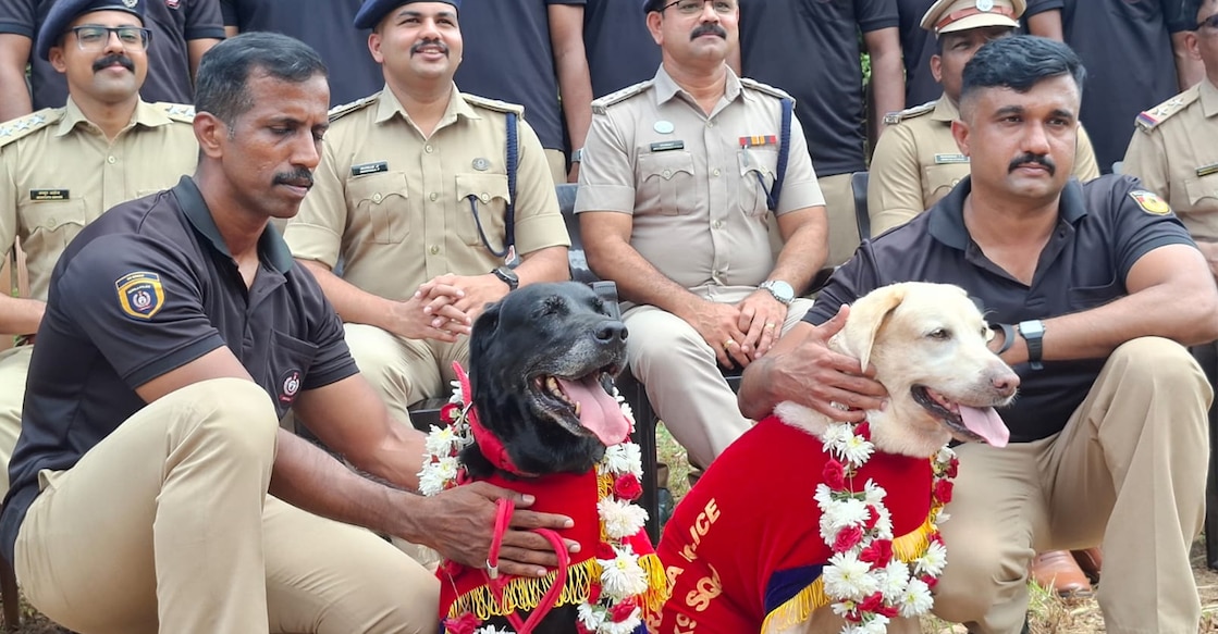 Buddy (dog on the left) and Camy during the photoshoot with their handlers and senior officers. Photo: Special arrangement