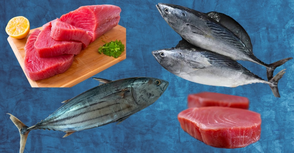 picture - tuna