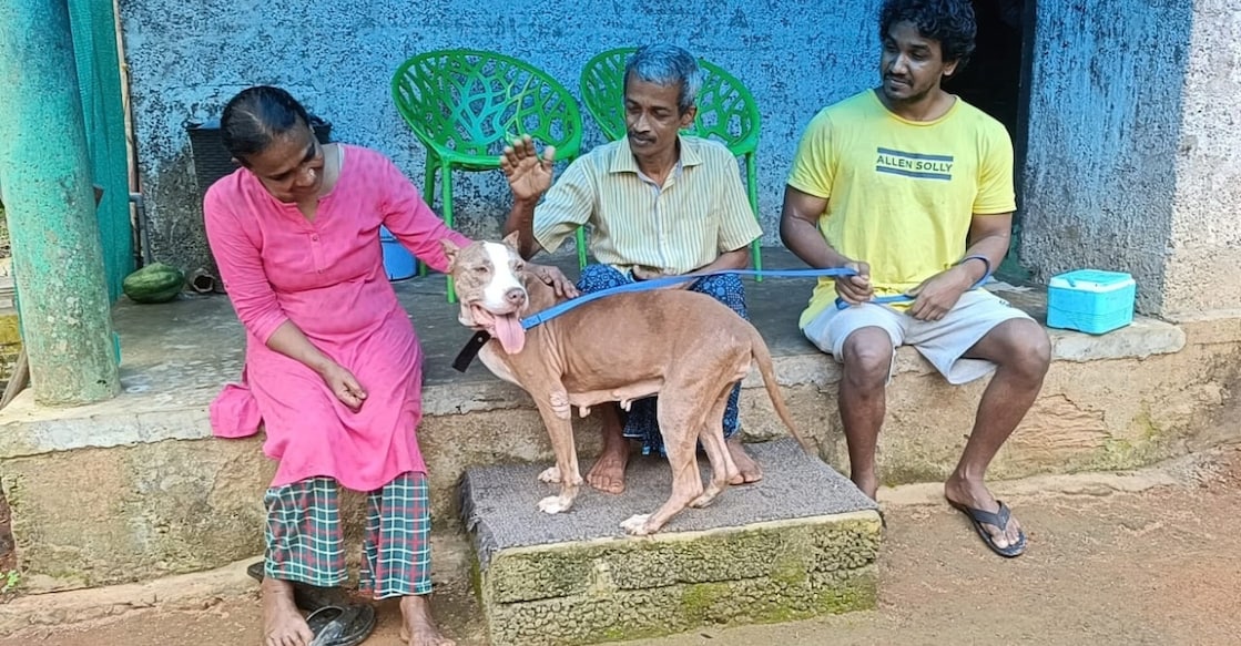 picture - jenny-reunited-with-family