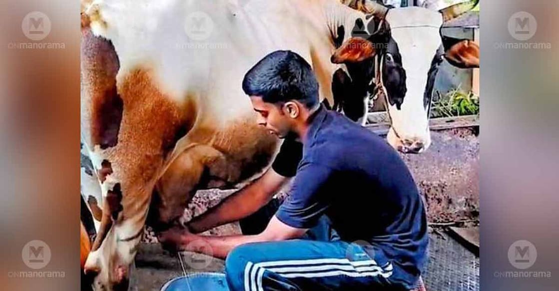 Stevo Sony milking a cow at home. Photo: Special arrangement