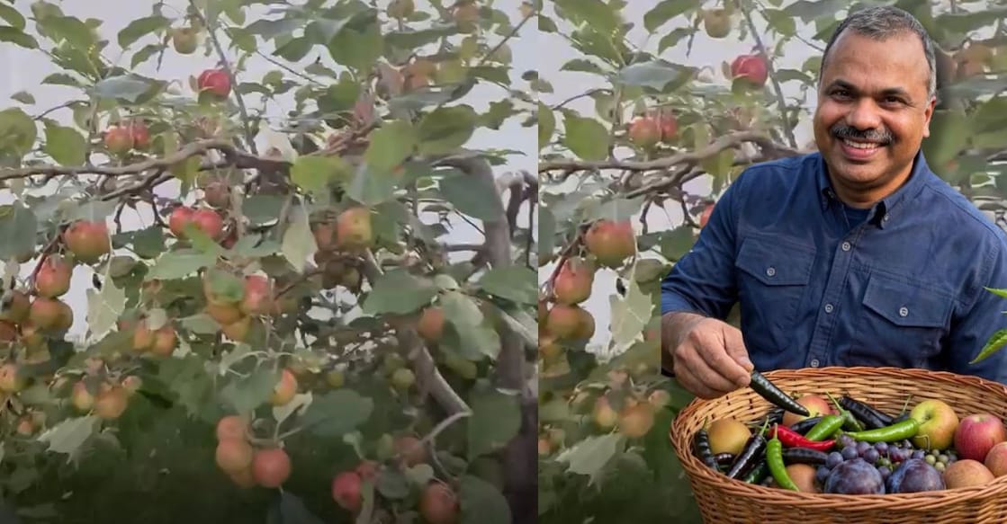 Palakkad native Francis Joseph with produce from his garden in Canada. Photo: Special arrangement