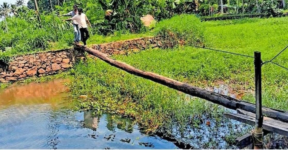 A wooden log spans the Narakathara Kiliyankavu stream. Photo: Special Arrangement.