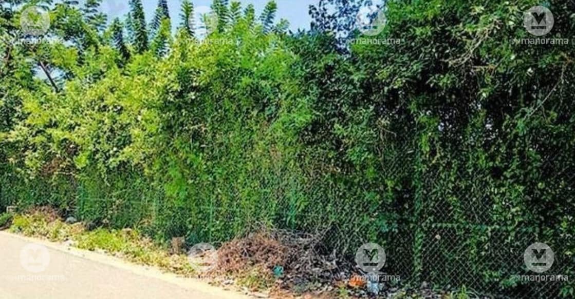 Untitled design - 23