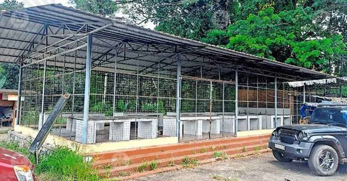 The newly constructed fish stall at Nellimukal market in Kadambanad Panchayat, lying idle. Photo: Special arrangement