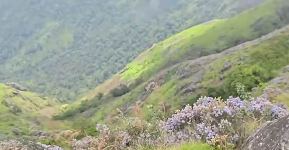 A screengrab showing the Attapadi forest area. Photo: Manorama News