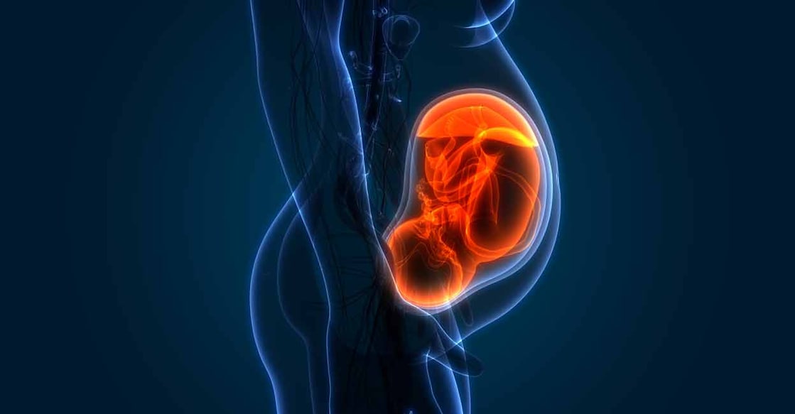 The study on the genetic switch was published in the international journal Cell Death Discovery. Photo: iStock/magicmine