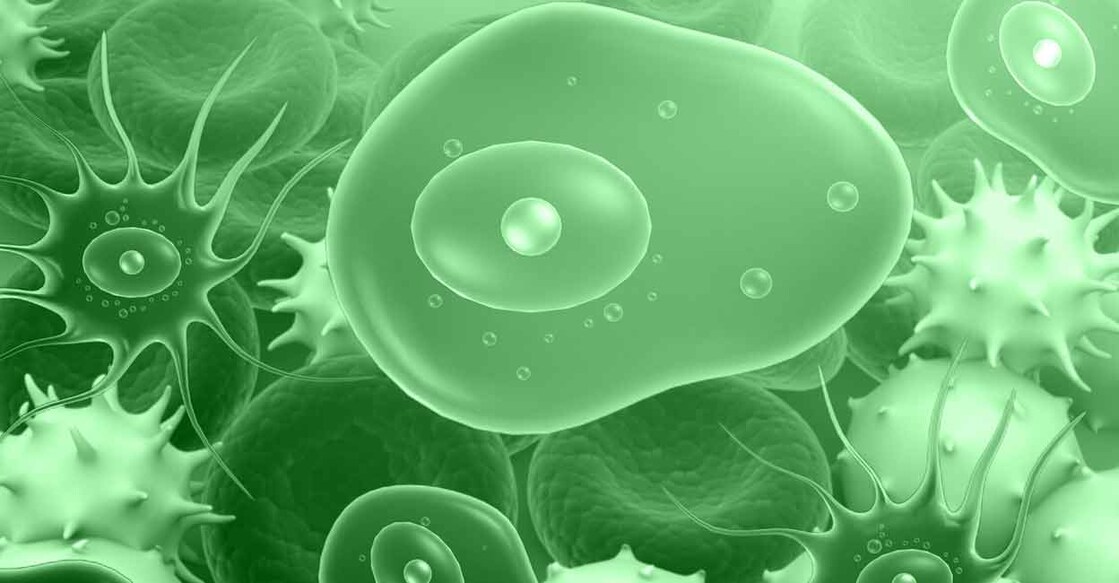 Health workers say that it is practically impossible to chlorinate large ponds and water bodies regularly to eliminate amoebae. Photo: iStock