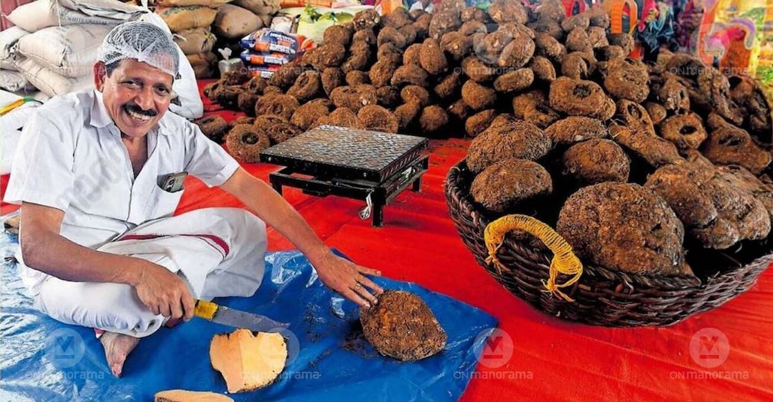 Pazhayidom Mohanan Namboothiri at the school youth festival venue in Thrissur. Photo: Manorama