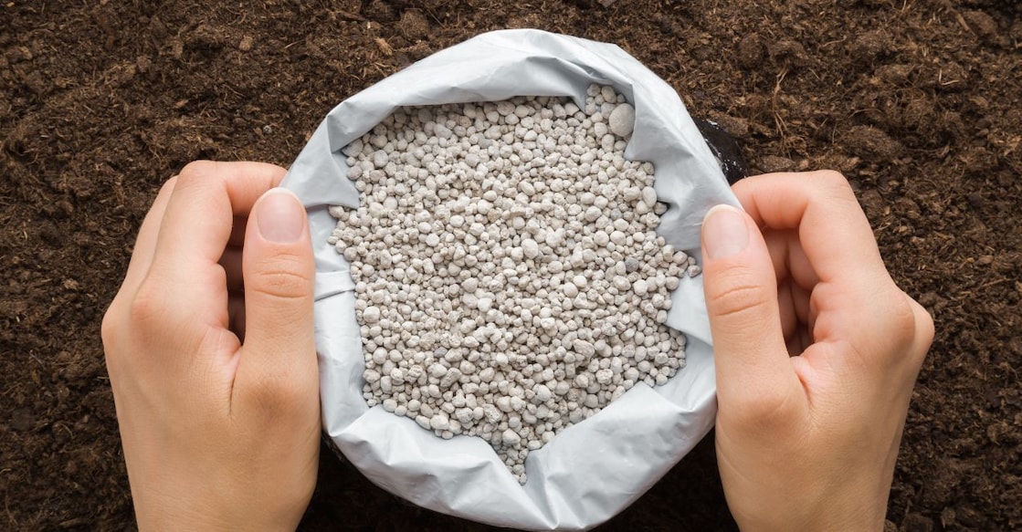 Representative image. Photo: Shutterstock/FotoDuets