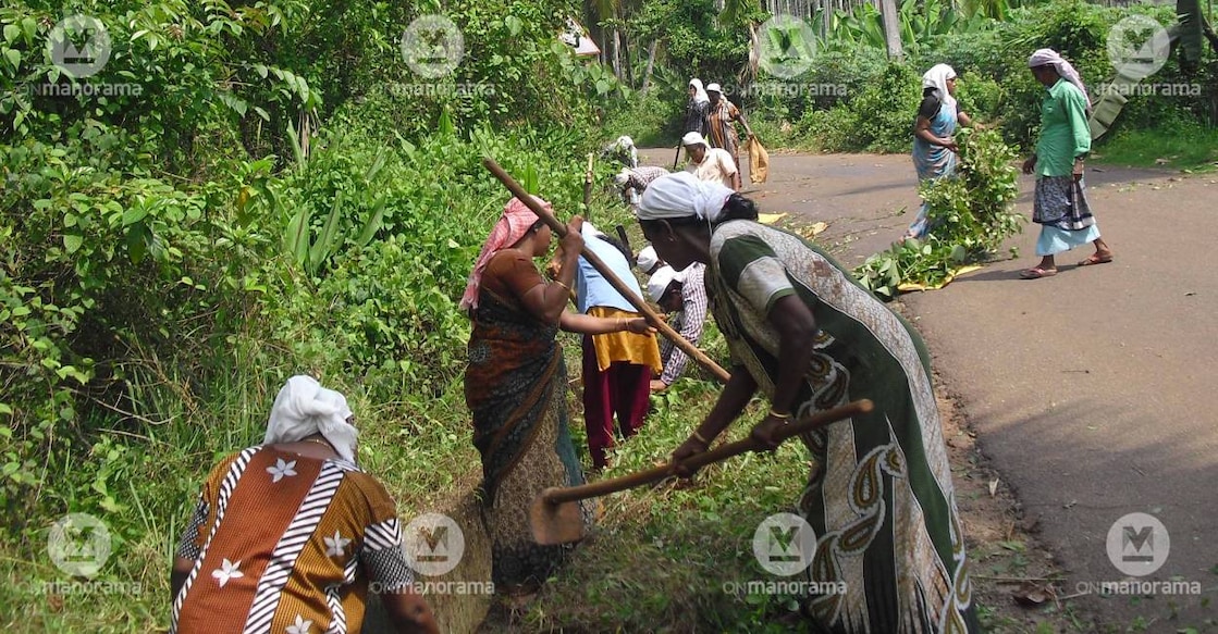 MGNREGA scheme workers in Kerala. Photo: Manorama Archives