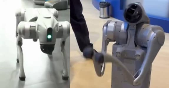 Robotic dog snafu: Galgotias asked to vacate stall at AI Summit Expo |  India News | Onmanorama