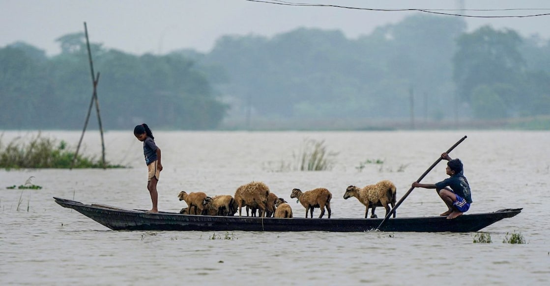 Children relocate sheep to a safer place by a boat after floodwaters submerged low-lying areas, in Morigaon district, Assam. Photo: PTI