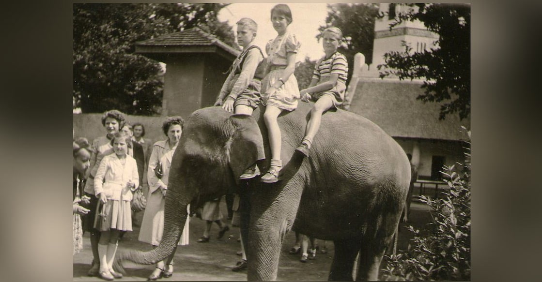 shanti-elephant