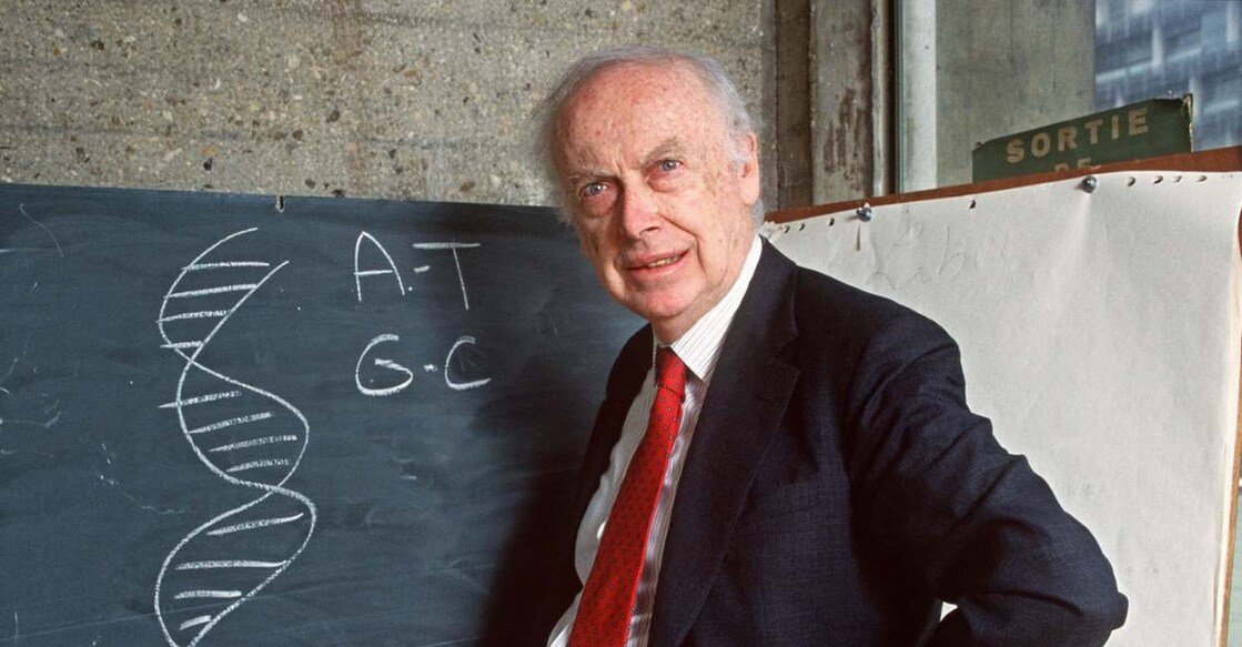 American geneticist James Dewey Watson. Photo: AFP/Daniel Mordzinski