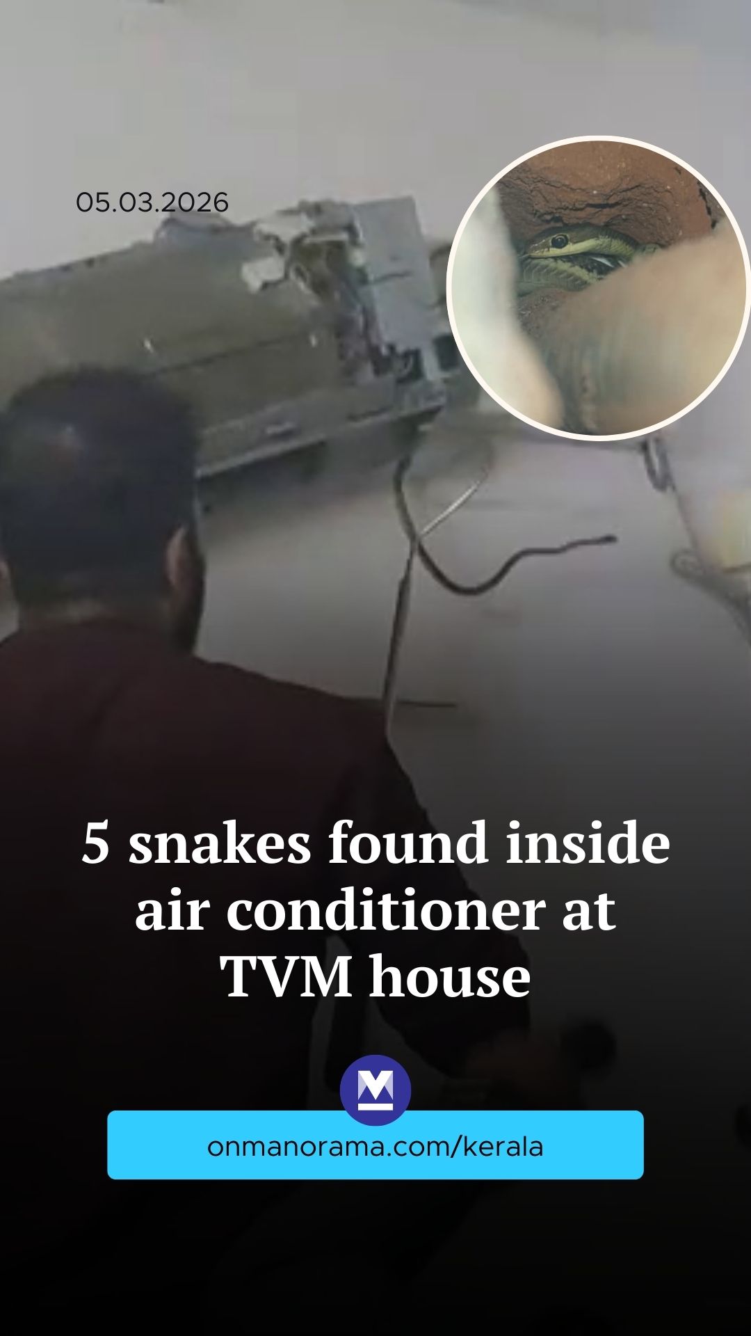 5 snakes found inside air conditioner at TVM house | Onmanorama
