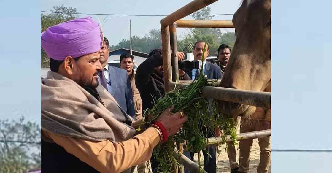 Brij Bhushan Sharan Singh feeds the horse he was presented with on his 69th birthday.
Photo: Special arrangement
