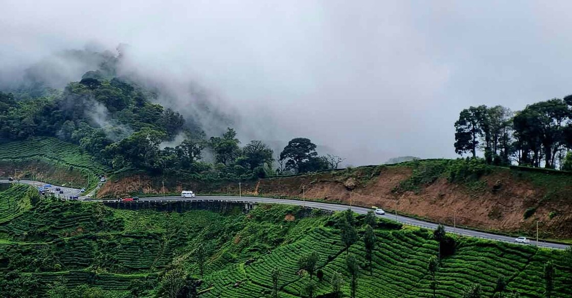 Munnar's Gap Road in December. Photo: iStock