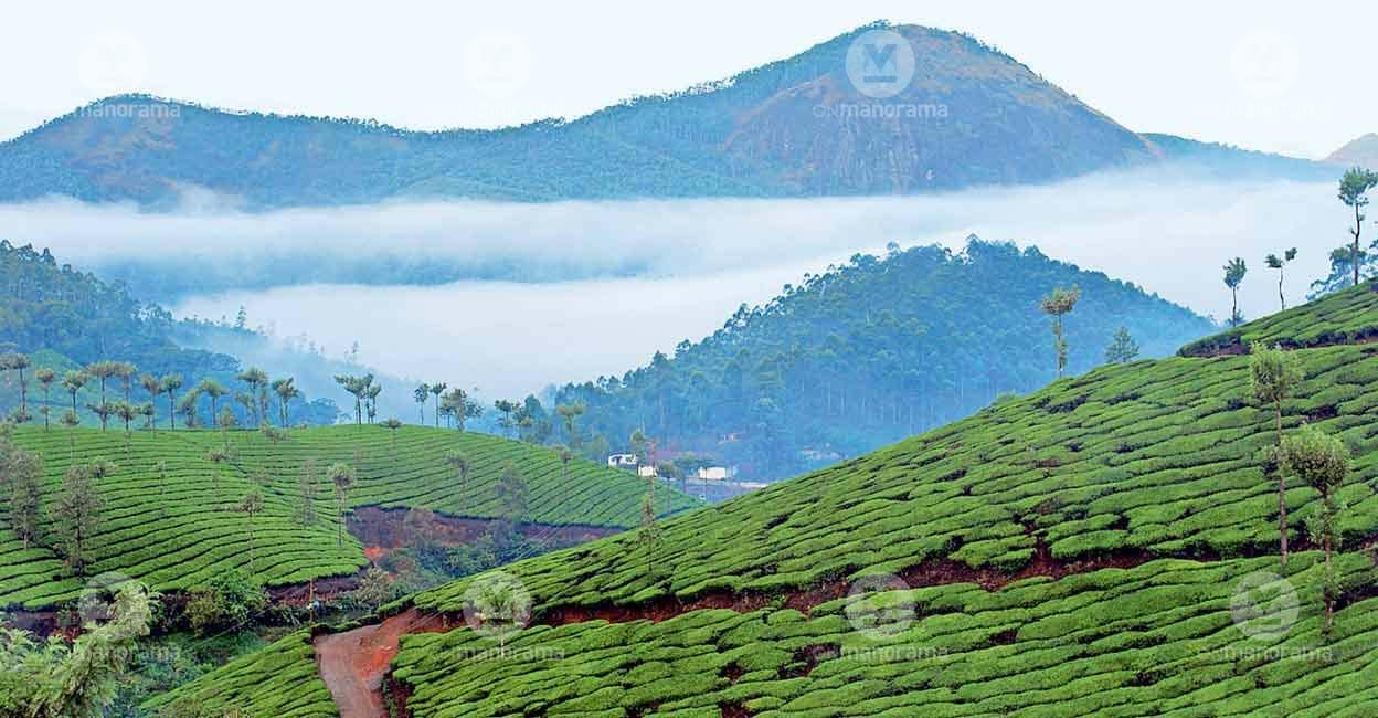 Munnar panchayat plans tourist entry fee from August to tackle waste, traffic