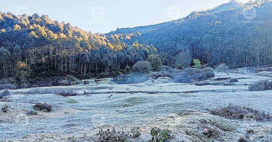 kerala-munnar-winter6