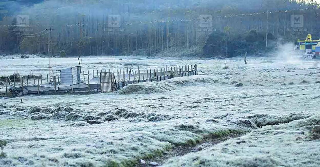Munnar winter is the best from 4 am to 7 am. Photo: Manorama