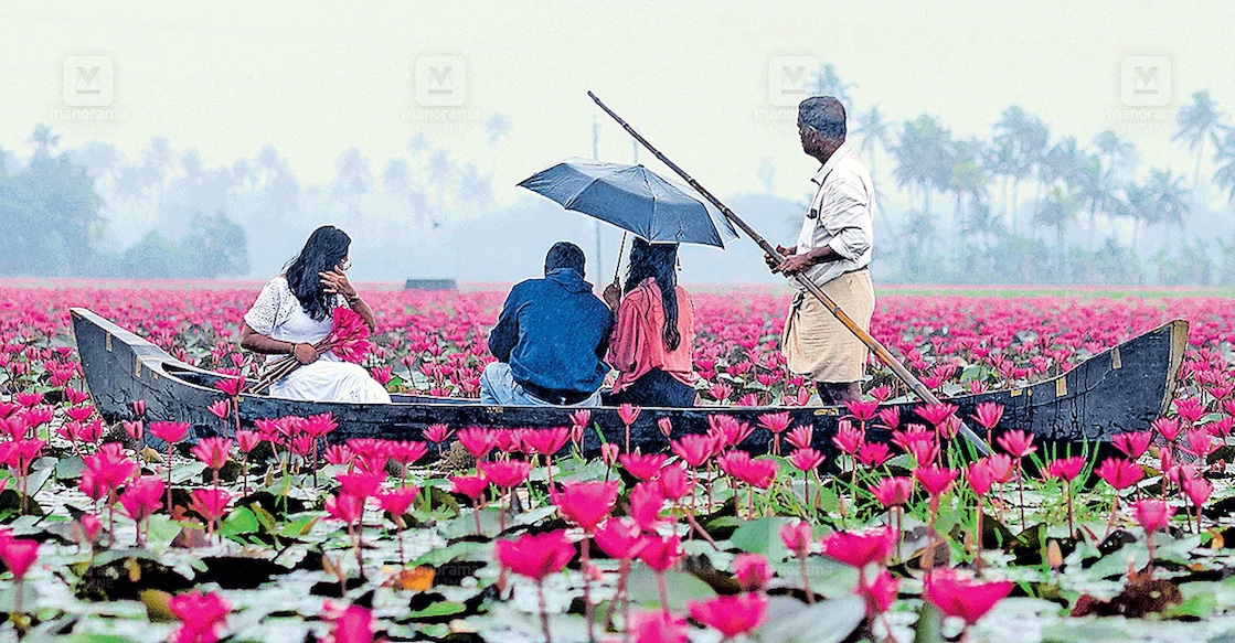 malarikkal-kerala-tourism Many reels have also started doing rounds on social media, beckoning tourists to Malarikkal. File Photo