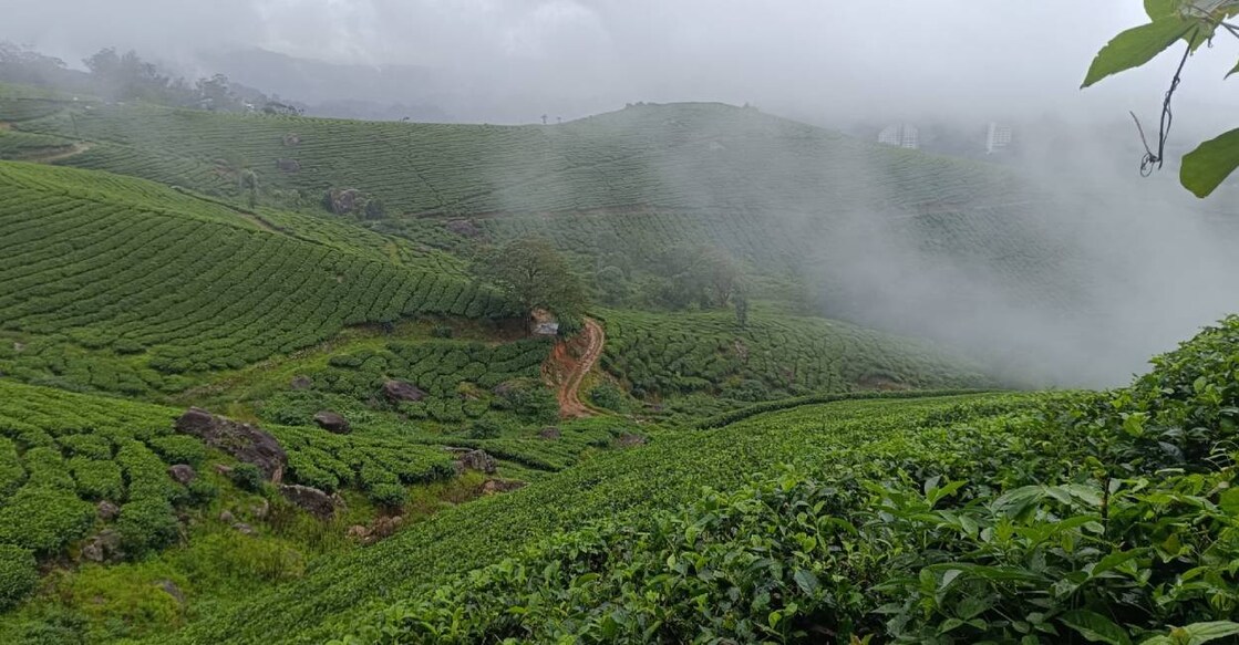 A view of Munnar. Photo: Special Arrangement