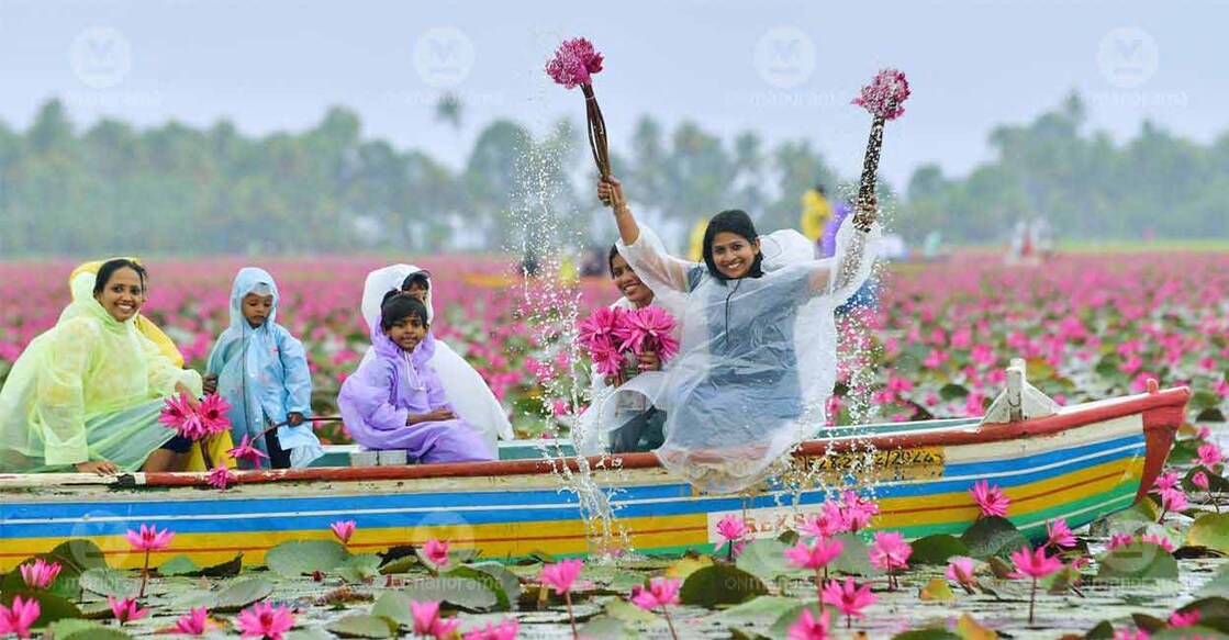 Tourists enjoy the water lily fields of Malarikkal in Kerala's Kottayam. Photo: Manorama
