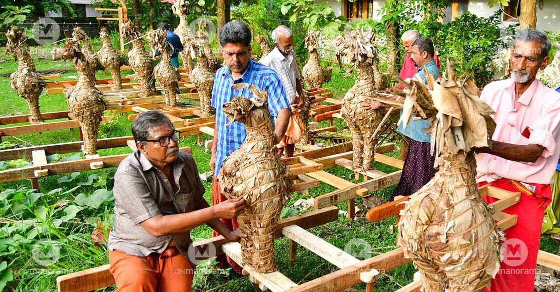 'Annams' or swans get ready for the Neelamperoor Padayani festival. Photo: Manorama