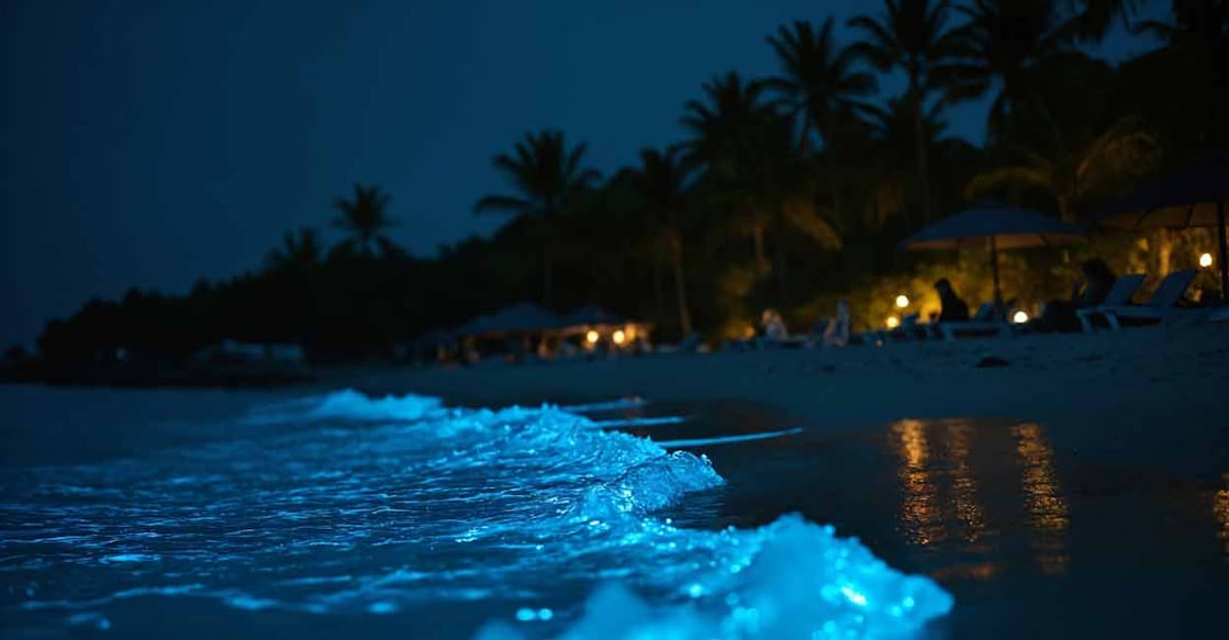 The electric blue bioluminescence  is emitted by organisms in backwaters and becomes visible when the water is disturbed at night. Representative image/Shutterstock