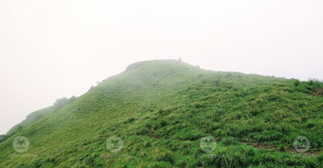 The hills of Ranipuram. Photo: Onmanorama