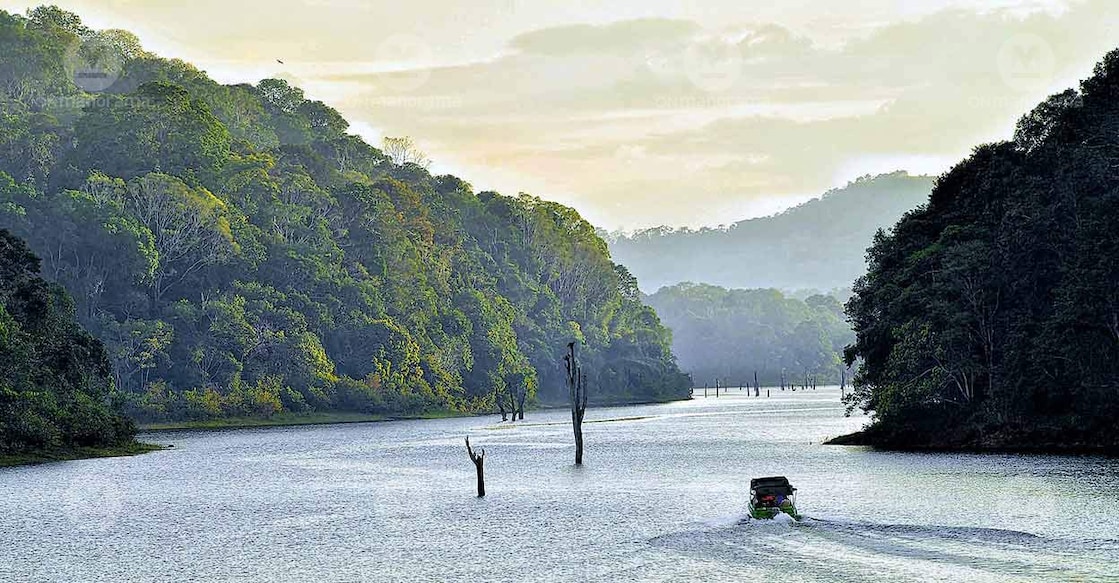 Periyar Lake, Thekkady. Photo: Manorama
