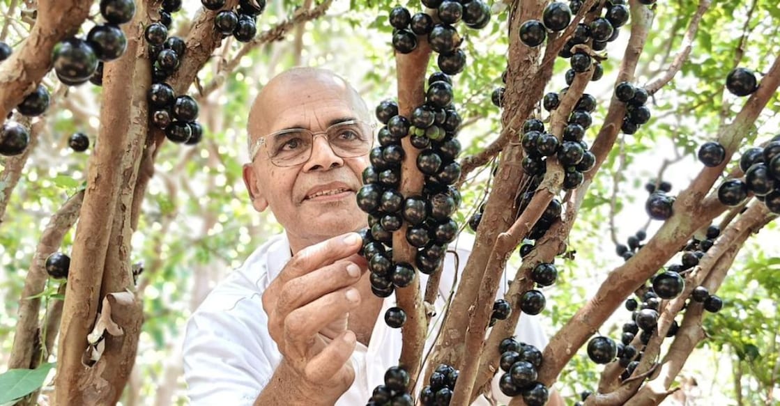 Shamsudeen Haji with his exotic fruit - Jaboticaba Sabara. Photo: Shamsudeen Haji
