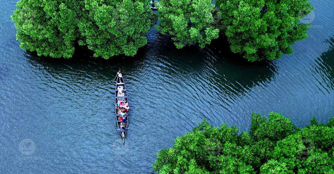 Munroe Island in Kollam. Photo: Manorama