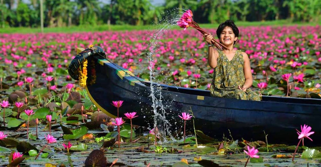 Tourists should take a boat from the Onpathinayiram Fields to reach the current blooming spots. Photo: Vishnu Sanal