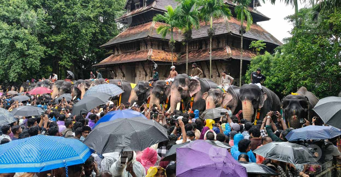 Anayoottu festival held in Thrissur. Photo: Josemon Varghese