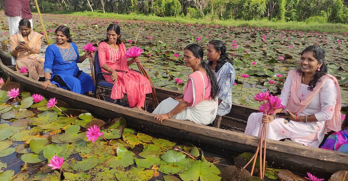 The new water lily spot at Manappally. Photo: S Santhosh/Manorama