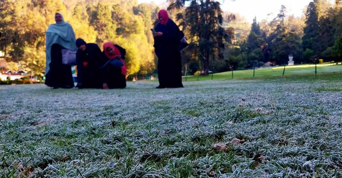 A glimpse of frost-covered nature at Avalanche, a tourist spot 28 km from Ooty, which recorded one of the lowest temperatures in the area. Photo: Special Arrangement